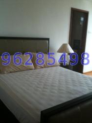 Sanctuary Green (D15), Condominium #10535122